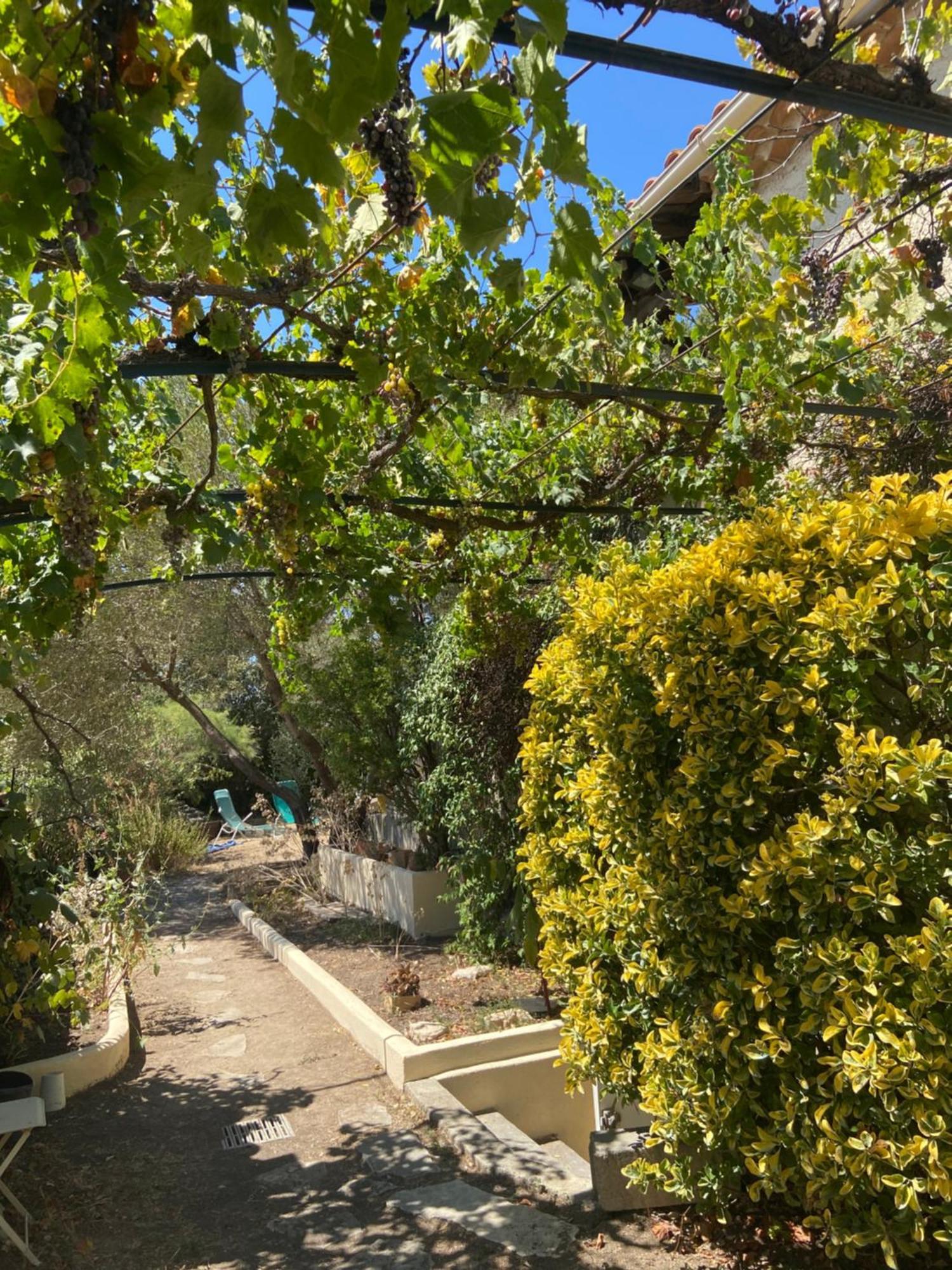 Evasion En Provence Bas De Villa Avec Jardin & Vignes, Soleil & Fraicheur Mirabeau Extérieur photo